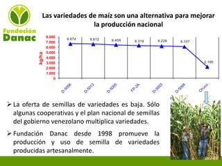 Experiencias de Fundación Danac para el fortalecimiento del sistema nacional de producción de semillas de maíz en Venezuela, Por Eduardo Graterol - DANAC