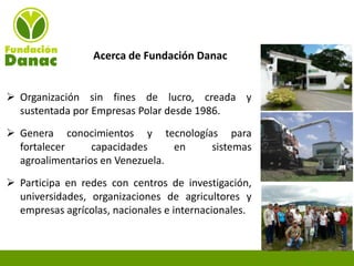 Experiencias de Fundación Danac para el fortalecimiento del sistema nacional de producción de semillas de maíz en Venezuela, Por Eduardo Graterol - DANAC