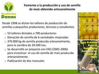 Experiencias de Fundación Danac para el fortalecimiento del sistema nacional de producción de semillas de maíz en Venezuela, Por Eduardo Graterol - DANAC
