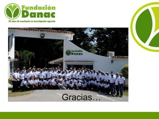 Experiencias de Fundación Danac para el fortalecimiento del sistema nacional de producción de semillas de maíz en Venezuela, Por Eduardo Graterol - DANAC