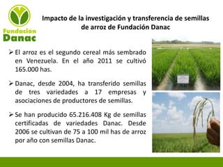 Experiencias de Fundación Danac para el fortalecimiento del sistema nacional de producción de semillas de maíz en Venezuela, Por Eduardo Graterol - DANAC