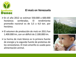 Experiencias de Fundación Danac para el fortalecimiento del sistema nacional de producción de semillas de maíz en Venezuela, Por Eduardo Graterol - DANAC