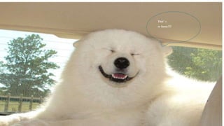 That’ s
so funny!!!
 