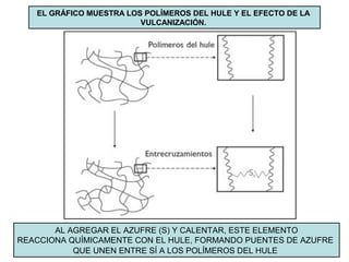 AL AGREGAR EL AZUFRE (S) Y CALENTAR, ESTE ELEMENTO
REACCIONA QUÍMICAMENTE CON EL HULE, FORMANDO PUENTES DE AZUFRE
QUE UNEN ENTRE SÍ A LOS POLÍMEROS DEL HULE
EL GRÁFICO MUESTRA LOS POLÍMEROS DEL HULE Y EL EFECTO DE LA
VULCANIZACIÓN.
 