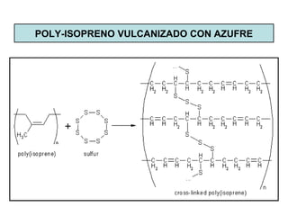 POLY-ISOPRENO VULCANIZADO CON AZUFRE
 