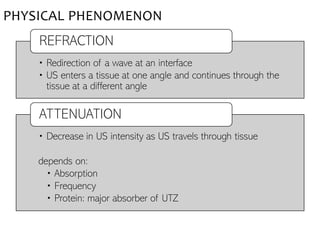 • Redirection of a wave at an interface
• US enters a tissue at one angle and continues through the
tissue at a different angle
REFRACTION
• Decrease in US intensity as US travels through tissue
depends on:
• Absorption
• Frequency
• Protein: major absorber of UTZ
ATTENUATION
PHYSICAL PHENOMENON
 