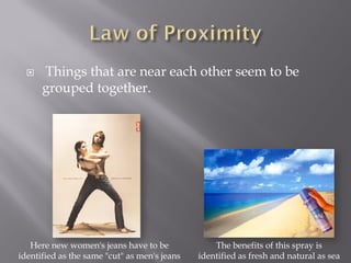    Things that are near each other seem to be
      grouped together.




   Here new women's jeans have to be              The benefits of this spray is
identified as the same "cut" as men's jeans   identified as fresh and natural as sea
 