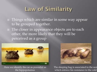    Things which are similar in some way appear
       to be grouped together.
      The closer in appearance objects are to each
       other, the more likely that they will be
       perceived as a group




Here we identify the car as powerful as   The sleeping bag is associated to the seal
          the hippopotamus                 which enforce his resistance to the cold
 