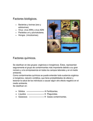 Factores biológicos. 
 Bacterias y toxinas (exo y 
edotoxinas). 
 Virus- virus ARN y virus ADN 
 Parásitos uni y pluricelulares. 
 Hongos (micotoxinas). 
Factores químicos. 
Se clasifican en dos grupos: orgánicos e inorgánicos. Éstos, representan seguramente el grupo de contaminantes más importante debido a su gran número y a la omnipresencia en todos los campos laborales y en el medio ambiente. 
Como contaminantes químicos se puede entender toda sustancia orgánica e inorgánica, natural o sintética, que tiene probabilidades de alterar y lesionar la salud de los individuos o causar algún otro efecto negativo en el medio ambiente. 
Se clasifican en: 
 Sólidos --------------------------- Fertilizantes. 
 Líquidos -------------------------- Plaguicidas. 
 Gaseosos ----------------------- Gases contaminantes. 
 