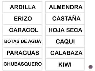 ME S A MME S
ARDILLA
ME S A MME S
ERIZO
ME S A MME S
CARACOL
ME S A MME S
PARAGUAS
ME S A MME S
BOTAS DE AGUA
ME S A MME S
CHUBASQUERO
ME S A MME S
ALMENDRA
ME S A MME S
CASTAÑA
ME S A MME S
HOJA SECA
ME S A MME S
CAQUI
ME S A MME S
CALABAZA
ME S A MME S
KIWI
 