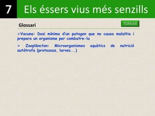 Els éssers vius més senzills
Glossari
Vacuna: Dosi mínima d’un patogen que no causa malaltia i
prepara un organisme per combatre-la
 Zooplàncton: Microorganismes aquàtics de nutrició
autòtrofa (protozous, larves...)
 