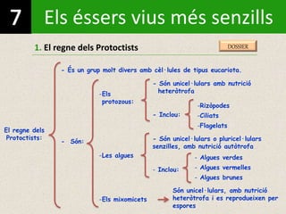 Els éssers vius més senzills
1. El regne dels Protoctists
El regne dels
Protoctists:
- És un grup molt divers amb cèl·lules de tipus eucariota.
- Són:
-Els
protozous:
-Les algues
-Els mixomicets
- Són unicel·lulars o pluricel·lulars
senzilles, amb nutrició autòtrofa
Són unicel·lulars, amb nutrició
heteròtrofa i es reprodueixen per
espores
- Inclou:
- Inclou:
- Són unicel·lulars amb nutrició
heteròtrofa
-Rizòpodes
-Ciliats
-Flagelats
- Algues verdes
- Algues vermelles
- Algues brunes
DOSSIER
 