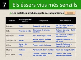 Els éssers vius més senzills
5. Les malalties produïdes pels microorganismes
Malaltia
Microorganisme
causant
Símptomes Vies d’infecció
Refredat Virus Congestió, mal de cap,
Per l’aire i en contacte
amb secrecions
Sida Virus de la sida
Símptomes de diverses
malalties
Contacte de sang o fluids
contaminats
Pneumònia Bacteri Tos, dolor al pit, febre
Per l’aire i en contacte
amb secrecions
Salmonel·losi Bacteri
Mal de ventre, nàusees,
vòmits i diarrea
Ingestió d’aliments en
mal estat
Còlera
Bacteri del
còlera
Febre, vòmits i diarrea
Ingestió d’aliments o
aigua en mal estat
Malària Protozou Aprimament, febre i anèmia Picada del mosquit anòfel
Peu d’atleta Fong
Clivelles i butllofes entre
els dits dels peus
Contacte amb zones
humides contaminades
DOSSIER
 
