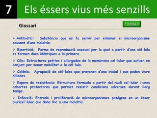 Els éssers vius més senzills
Glossari
 Antibiòtic: Substància que es fa servir per eliminar el microorganisme
causant d’una malaltia.
 Bipartició: Forma de reproducció asexual per la qual a partir d’una cèl·lula
es formen dues idèntiques a la primera.
 Cilis: Estructures petites i allargades de la membrana cel·lular que actuen en
conjunt per donar mobilitat a la cèl·lula.
 Colònia: Agrupació de cèl·lules que provenen d’una inicial i que poden viure
aïllades.
 Espora de resistència: Estructura formada a partir del nucli cel·lular i unes
cobertes protectores que permet resistir condicions adverses durant llarg
temps.
 Infecció: Entrada i proliferació de microorganismes patògens en un ésser
pluricel·lular que dona lloc a una malaltia.
 