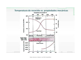 QBA MIGUEL ÁNGEL CASTRO RAMÍREZ
 
