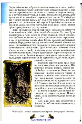 з цього бавовника добувають довге шовковисте волокно, майже
таке, як фернамбукське*. З проточених комахами дірочок у корі
деяких дерев сочилася запашна смола копал, скапуючи додолу,
де її потім збирали тубільці. Скрізь росли лимонні дерева, дикі
гранатники і десятки інших деревовидних рослин. У повітрі ви­
тав тонкий аромат ванілі, хоч годі було визначити, яка саме
рослина так гарно пахне. Усі дерева й куш,і буяли соковитою
зеленню, дарма що була засушлива пора року і грози тільки
зрідка зрошували цю родючу землю...
Загін просувався вперед обережно і швидко. На землі тут
і там виднілися свіжі сліди людей або тварин. Де трава була
притоптана, а гілки дерев та куш;ів обламані, йшли швидше.
Але здебільшого загін сам усував з дороги численні перешкоди,
і це, на превелику досаду Діка Сенда, неабияк затримувало
перехід. Перед ними щоразу поставали обсновані ліанами де­
рева... Вигнуті гілки кущів скидалися на дамаські шаблі, втикані
довжелезними шпильками. Долі стелилися зміюваті ліани
п’ятдесят-шістдесят футів завдовжки, які кололи мандрівників
гострими колючками. Негри прорубували дорогу сокирами, та
ліанам не видно було кінця-краю; вони росли скрізь, обплуту­
вали дерева від прикорнів аж до вершечків, звідки звисали дов­
гими гірляндами.
Тваринне царство цього краю було
не менш своєрідне, ніж рослинне. Під
могутнім зеленим шатром літали пта­
хи. їх була сила-силенна. Люди, що на­
магалися пройти якомога тихше й
швидше, звичайно, не стріляли в них.
Тут були великі табуни цесарок та
інших курячих, які не підпускають лю­
дей близько; був і отой птах, якого за
його крик північні американці прозвали
«жалібною сплюшкою». Дік Сенд
і Том могли подумати, що справді по­
трапили в якусь частину Нового
Світу. Та ба, вони тепер добре знали, де
вони є!
Досі хижі звірі, такі небезпечні в
Африці, не наближалися до маленько­
го загону.
* Фернамбук — штат на північному сході Бразилії, де вирощують бавовник.
206
www.testosvit.com
 