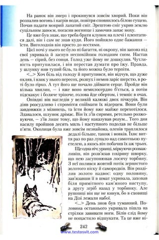 На ранок він змерз і прокинувся зовсім хворий. Поки він
розпалив вогонь і нагрів води, повітря сповнилось білою гущею.
Почав падати мокрий лапатий сніг. Зрештою сніг укрив землю
суцільним завоєм, погасив вогнище і замочив запас моху.
Це вже був знак, що треба брати клунок на плечі і плентати­
ся далі, він і сам не знав куди. Його пойняло одне бажання —
їсти. Виголоднів він просто до нестями.
Цієї ночі у нього не було ні багаття, ні окропу, він заповз під
свої укривала й заснув неспокійним голодним сном. Настав
день —сірий, без сонця. Голод уже йому не дошкуляв. Чутли­
вість притупилася, і він перестав думати про їжу. Правда,
у шлунку нив тупий біль, та його можна було терпіти.
<...> Хоч біль від голоду й притупився, він відчув, що дуже
охляв, і язик у нього пересох, розпух і немов заріс шерстю, в ро­
ті було гірко. А тут його ще почало діймати серце. Пройде він
кілька хвилин, — і вже воно немилосердно б’ється, а потім
підскакує і боляче тріпоче, голова йде обертом, і темніє в очах.
Опівдні він нагледів у великій калюжі двох пічкурів. Він
діяв розсудливо і спромігся спіймати їх відерцем. Вони були
завдовжки з мізинець, та їсти йому вже майже перехотілося.
Здавалося, шлунок дрімає. Він їх з’їв сирими, ретельно розжо­
вуючи, —з’їв лише тому, що йому наказував розум... Того дня
насилу пройшов десять миль і наступного подолав не більше
п’яти. Околиця була вже зовсім незнайома, оленів трап.тялося
дедалі більше, також і вовків. їхнє вит­
тя раз по раз лунало над самотньою пу­
стелею, а якось він побачив їх аж трьох.
Ще одна ніч; уранці, міркзточи розваж­
ливіш, він розв’язав шкіряну шворку,
що нею засупонював лосячу торбину.
З неї полився жовтий потік зернистого
золотого піску й самородків. Він розді­
лив золото надвоє: одну половину,
зав’язавши її в шмат укривала, заховав
біля примітного кам’яного виступу,
а другу згріб назад у торбинку. Але
рушниці він ще не кинув, бо в сховищі
на Дізі лежали набої.
<...> День знов був туманний. По­
ловина останнього укривала пішла на
стрілки завивати ноги. Білів слід йому
не пощастило відшукати. Та це вже ні­
^ 242
www.testosvit.com
 