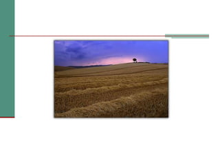 7 epidemiologia della depressione