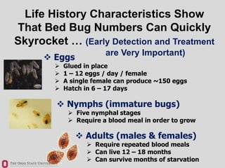 Life History Characteristics Show
That Bed Bug Numbers Can Quickly
Skyrocket … (Early Detection and Treatment
are Very Imp...