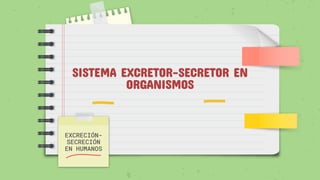 SISTEMA EXCRETOR-SECRETOR EN
ORGANISMOS
EXCRECIÓN-
SECRECIÓN
EN HUMANOS
 