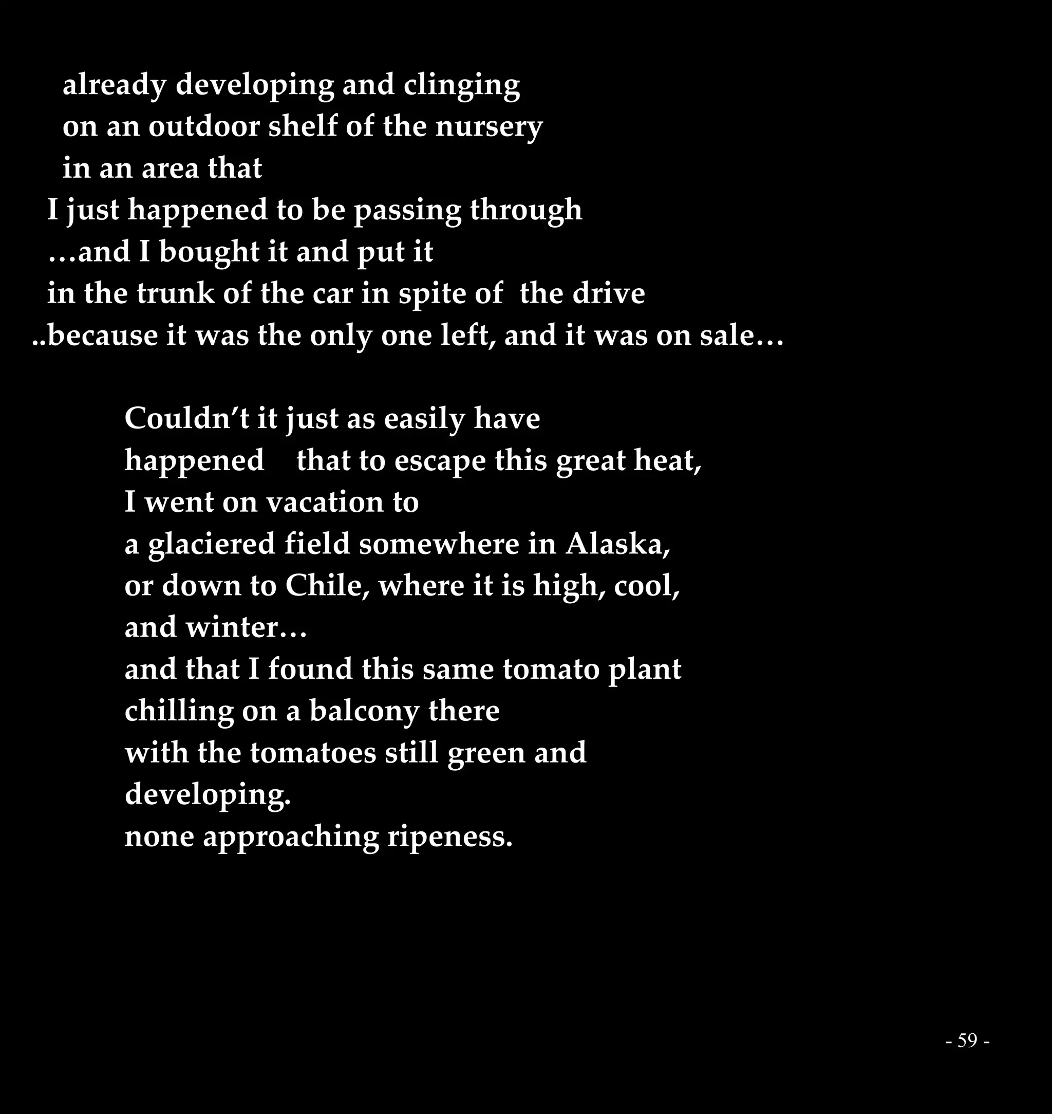 - 59 -
already developing and clinging
on an outdoor shelf of the nursery
in an area that
I just happened to be passing through
…and I bought it and put it
in the trunk of the car in spite of the drive
..because it was the only one left, and it was on sale…
Couldn’t it just as easily have
happened that to escape this great heat,
I went on vacation to
a glaciered field somewhere in Alaska,
or down to Chile, where it is high, cool,
and winter…
and that I found this same tomato plant
chilling on a balcony there
with the tomatoes still green and
developing.
none approaching ripeness.
 