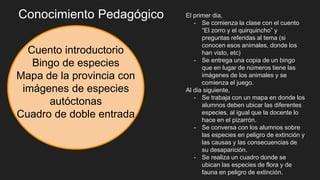 Conocimiento Pedagógico
Cuento introductorio
Bingo de especies
Mapa de la provincia con
imágenes de especies
autóctonas
Cuadro de doble entrada
El primer dia,
- Se comienza la clase con el cuento
“El zorro y el quirquincho” y
preguntas referidas al tema (si
conocen esos animales, donde los
han visto, etc)
- Se entrega una copia de un bingo
que en lugar de números tiene las
imágenes de los animales y se
comienza el juego.
Al dia siguiente,
- Se trabaja con un mapa en donde los
alumnos deben ubicar las diferentes
especies, al igual que la docente lo
hace en el pizarrón.
- Se conversa con los alumnos sobre
las especies en peligro de extinción y
las causas y las consecuencias de
su desaparición.
- Se realiza un cuadro donde se
ubican las especies de flora y de
fauna en peligro de extinción.
 