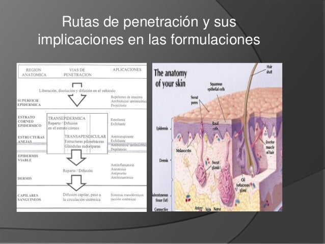 farmacologia