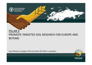 PILLAR 3
PROMOTE TARGETED SOIL RESEARCH FOR EUROPE AND
BEYOND
Coen Ritsema, Gergely Toth and other ESP Pillar 3 members
 