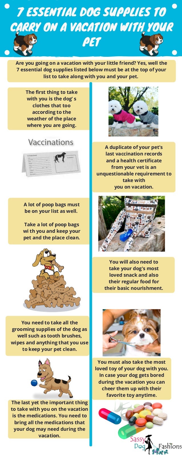 Where to keep your dog when you go on vacation 7 Essential Dog Supplies To Carry On A Vacation With Your Pet