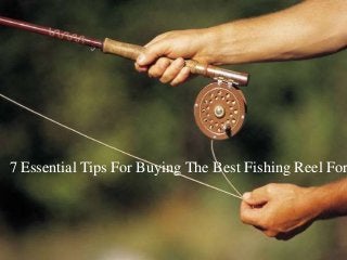 7 Essential Tips For Buying The Best Fishing Reel For
 