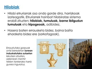 Hilobiak
• Hilobi etruriarrak oso ondo gorde dira, harrizkoak
izateagatik. Etruriarrek hainbat hilobiratze sistema
erabili zituzten; hilobiak, tumuluak, barne ibilgudun
tumuluak eta hipogeoak, adibidez.
• Hasera baten errausketa bidez, baina baita
ehorzketa bidez ere (sarkofagoak).

Erraustutako gorpuak
ontzi berezietan lurrean
induskatutako zuloetan
lekutzen zituzten,
azkenean menhir
txikien tankerako harriz
gunea inguratuz.

 