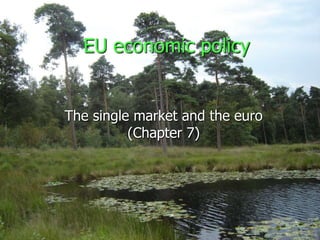 EU economic policy
The single market and the euro
(Chapter 7)
 