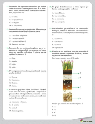 11.	Las amebas son organismos unicelulares que pueden
cambiar de forma. Forman proyecciones de su mem-
brana celular para trasladarse o envolver su alimento.
Esas proyecciones son
A.	 los cilios.
B.	 los pseudópodos.
C.	los flagelos.
D.	las vellosidades.
12.	Los animales tienen gran comprensión del entorno, ya
que captan información y la procesan gracias
A.	 a las células sanguíneas.
B.	 a la simetría radial.
C.	a la simetría bilateral.
D.	al sistema nervioso.
13.	Los minerales son nutrientes inorgánicos que el or-
ganismo no puede producir por su cuenta, por lo que
deben ser ingeridos en la dieta. El mineral que da
rigidez a los huesos es el
A.	 cloro.
B.	 potasio.
C.	calcio.
D.	sodio.
14.	De los siguientes niveles de organización de la materia
¿cuál es abiótico?
A.	 Sistema.
B.	 Ecosistema.
C.	Biosfera.
D.	Átomo.
15. Cuando los guepardos corren, su columna vertebral
actúa como un resorte, ayudándoles a impulsarse a
grandes saltos. Este tipo de fuerza, semejante a la que
se transmite por medio de un resorte, una cuerda o un
cable se denomina fuerza
A.	rozamiento o fricción.
B.	 de tensión.
C.	normal.
D.	electromagnética.
16.	Un grupo de individuos de la misma especie que
habitan un área geográfica conforman
A.	 una población.
B.	 una comunidad.
C.	un ecosistema
D.	una subespecie.
17.	Los individuos que conforman las comunidades
biológicas establecen relaciones intraespecíficas e
interespecíficas. Un ejemplo relación intraespecífica
es
A.	 la simbiosis.
B.	 la herbivoría.
C.	la crianza.
D.	la predación.
18.	El suelo es una mezcla de partículas minerales de
diferentes tamaños, fragmentos de rocas y materia
orgánica en descomposición.
Esta imagen muestra un perfil de suelo.
A
B
C
D
La capa que contiene más materia orgánica es
A.	 A.
B.	 B.
C.	C.
D.	D.
 