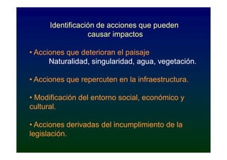 Identificación de acciones que pueden
                  causar impactos

• Acciones que deterioran el paisaje
      Naturalidad, singularidad, agua, vegetación.

• Acciones que repercuten en la infraestructura.

• Modificación del entorno social, económico y
cultural.

• Acciones derivadas del incumplimiento de la
legislación.
 