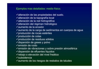 Ejemplos mas detallados: medio físico.

alteración de las propiedades del suelo.
alteración de la topografía local
alteración de la red hidrográfica
alteración del régimen hidrológico
aumento de la erosión
aumento de la carga de sedimentos en cuerpos de agua
producción de rocas estériles
producción de colas
producción de residuos sólidos
dispersión de gases y polvo
emisión de ruido
emisión de vibraciones y sobre presión atmosférica
dispersión de efluentes líquidos
rebajo o elevación del nivel freático
subsidencia
aumento de los riesgos de resbalos de taludes
 