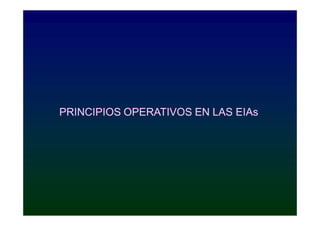 PRINCIPIOS OPERATIVOS EN LAS EIAs
 