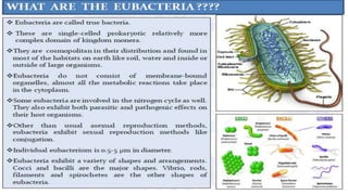 Evolutionary tendencies of bacteria.pptx