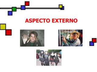 ASPECTO EXTERNO 