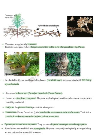 Plant_Kingdom_Shobhit_Nirwan.pdf class 11th biology. | PDF