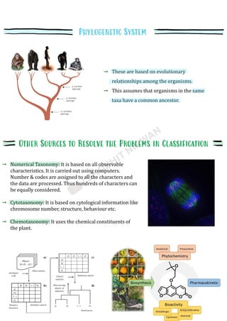 Plant_Kingdom_Shobhit_Nirwan.pdf class 11th biology. | PDF