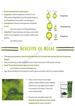 Isogamous Plant_Kingdom_Shobhit_Nirwan.pdf class 11th biology. | PDF