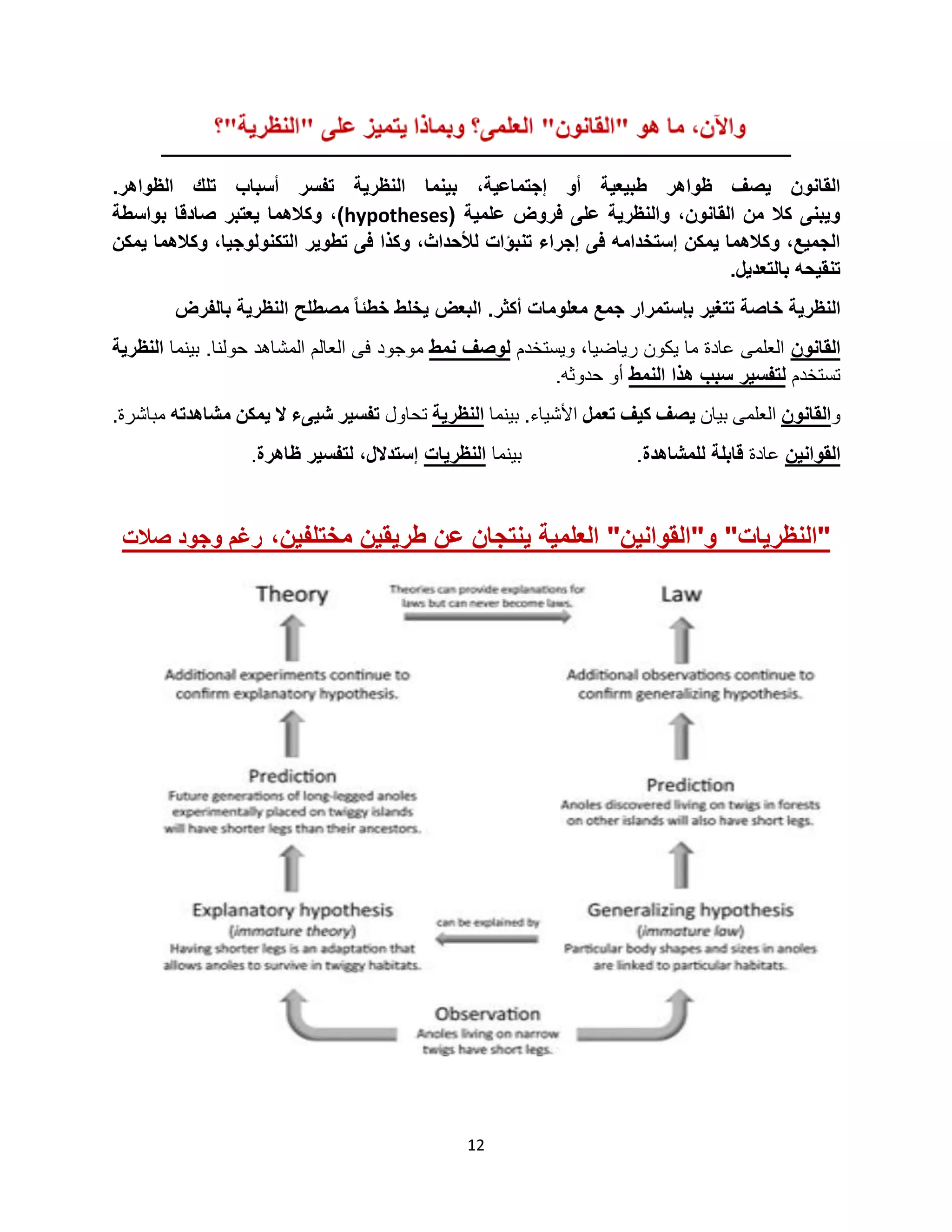 12
‫ب‬ ،‫إجتماعية‬ ‫أو‬ ‫طبيعية‬ ‫ظواهر‬ ‫يصف‬ ‫القانون‬‫ينما‬.‫الظواهر‬ ‫تلك‬ ‫أسباب‬ ‫تفسر‬ ‫النظرية‬
( ‫علمية‬ ‫فروض‬ ‫على‬ ‫والنظرية‬ ،‫القانون‬ ‫من‬ ‫كال‬ ‫ويبنى‬hypotheses‫بواسطة‬ ‫صادقا‬ ‫يعتبر‬ ‫وكالهما‬ ،)
‫يمكن‬ ‫وكالهما‬ ،‫التكنولوجيا‬ ‫تطوير‬ ‫فى‬ ‫وكذا‬ ،‫لألحداث‬ ‫تنبؤات‬ ‫إجراء‬ ‫فى‬ ‫إستخدامه‬ ‫يمكن‬ ‫وكالهما‬ ،‫الجميع‬
.‫بالتعديل‬ ‫تنقيحه‬
‫تتغ‬ ‫خاصة‬ ‫النظرية‬‫ب‬ ‫ير‬.‫أكثر‬ ‫معلومات‬ ‫جمع‬ ‫إستمرار‬‫بالفرض‬ ‫النظرية‬ ‫مصطلح‬ ً‫ا‬‫خطئ‬ ‫يخلط‬ ‫البعض‬
‫القانون‬‫ويستخدم‬ ،‫رياضيا‬ ‫يكون‬ ‫ما‬ ‫عادة‬ ‫العلمى‬‫نمط‬ ‫لوصف‬‫موجود‬‫بينما‬ .‫حولنا‬ ‫المشاهد‬ ‫العالم‬ ‫فى‬‫النظرية‬
‫تستخدم‬‫ل‬‫النمط‬ ‫هذا‬ ‫سبب‬ ‫تفسير‬.‫حدوثه‬ ‫أو‬
‫و‬‫القانون‬‫بيان‬ ‫العلمى‬‫ك‬ ‫يصف‬‫ي‬‫تعمل‬ ‫ف‬‫بينما‬ .‫األشياء‬‫النظرية‬‫تحاول‬‫مشاهدته‬ ‫يمكن‬ ‫ال‬ ‫شيىء‬ ‫تفسير‬.‫مباشرة‬
‫القوانين‬‫عادة‬‫قابل‬‫ة‬‫للمشاهدة‬.‫بينما‬‫النظريات‬‫إستدالل‬،‫ظاهرة‬ ‫لتفسير‬.
‫و‬ "‫"النظريات‬"‫القوانين‬"،‫مختلفين‬ ‫طريقين‬ ‫عن‬ ‫ينتجان‬ ‫العلمية‬‫صالت‬ ‫وجود‬ ‫رغم‬
 