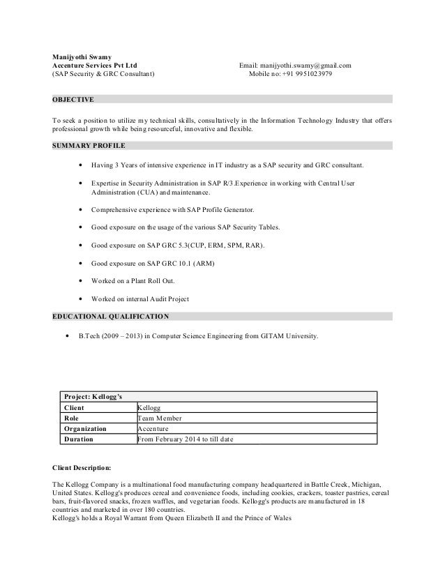 sap security resume