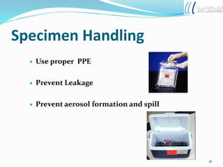 Specimen Handling
 Use proper PPE
 Prevent Leakage
 Prevent aerosol formation and spill
18
 