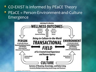 CO-EXIST is informed by PEaCE Theory
PEaCE = Person-Environment-and-Culture
Emergence
 