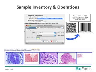 Copyright © 2015
Research BioBank 1B
PathologySample A597
(text-onlylabel)
Sample Inventory & Operations
 