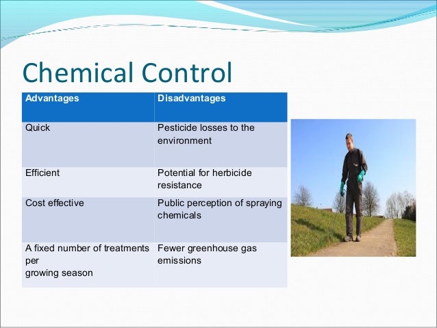 disadvantages and advantages pesticides It is an alternative to using broad-spectrum pesticides csanyi, carolyn advantages & disadvantages of biological control sciencing. disadvantages and advantages pesticides It is an alternative to using broad-spectrum pesticides csanyi, carolyn advantages & disadvantages of biological control sciencing.