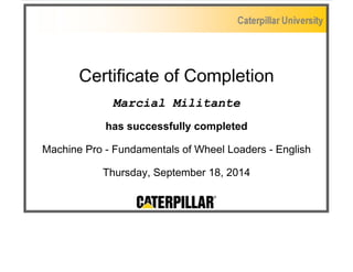 Certificate of Completion
Marcial Militante
has successfully completed
Machine Pro - Fundamentals of Wheel Loaders - English
Thursday, September 18, 2014
 
