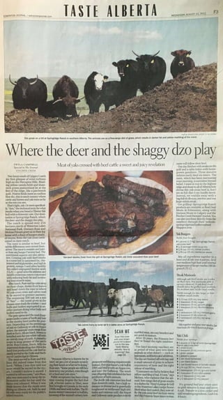 Shaggy Dzo Yak Edmonton Journal (1)