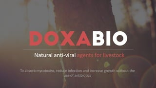 Natural anti-viral agents for livestock
To absorb mycotoxins, reduce infection and increase growth without the
use of antibiotics
 